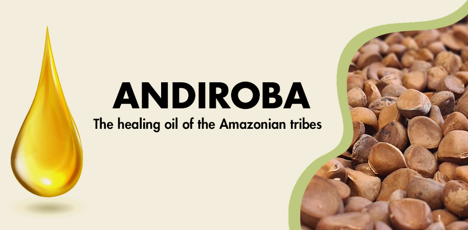 Andiroba-Öl